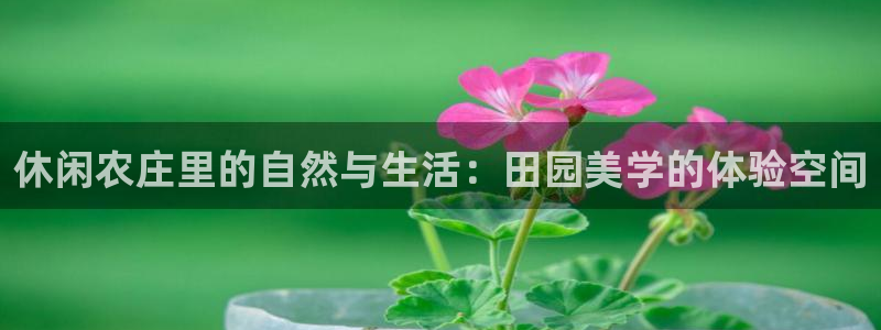 九游会体育app下载