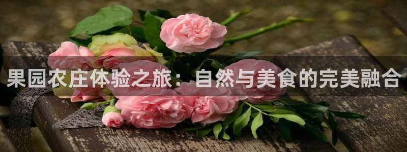 九游会j 9
