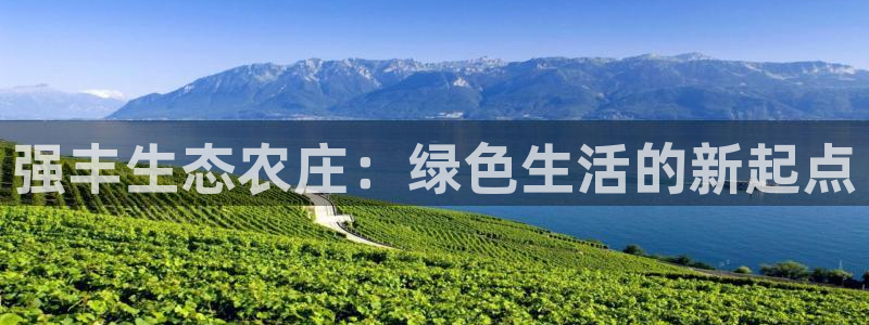 立即充值   九游会