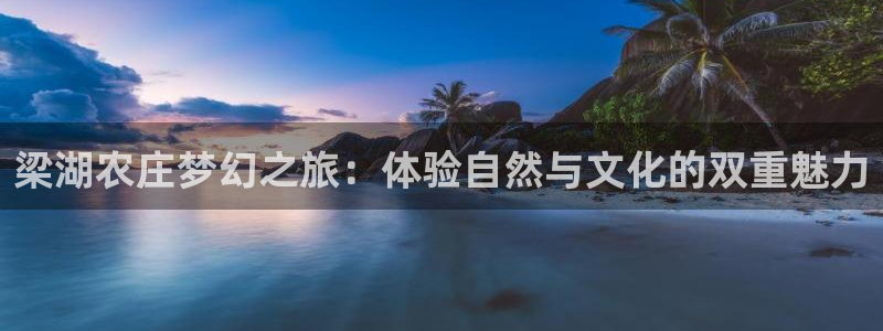 九游会平台网站