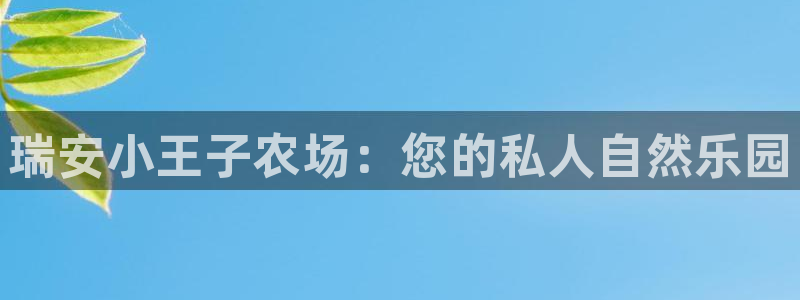 九游会担保