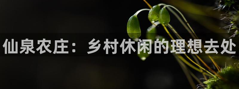 立即充值 九游会