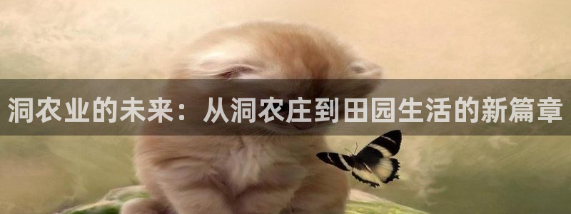 九游会j9提现快吗