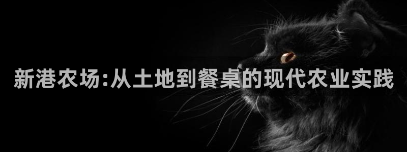 九游会网