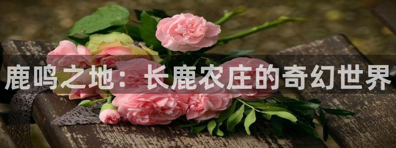 九游会注册分享