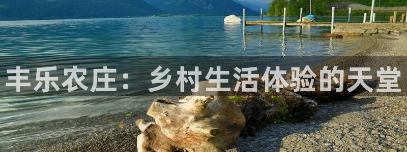 九游会数字货币