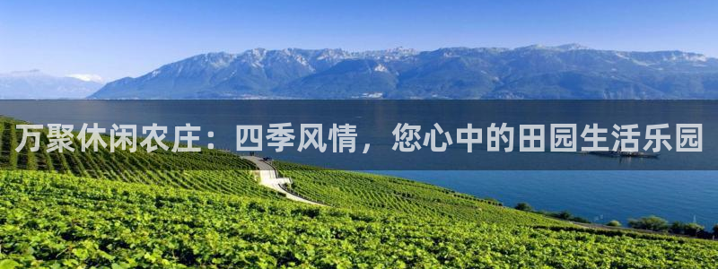 九游会BJL