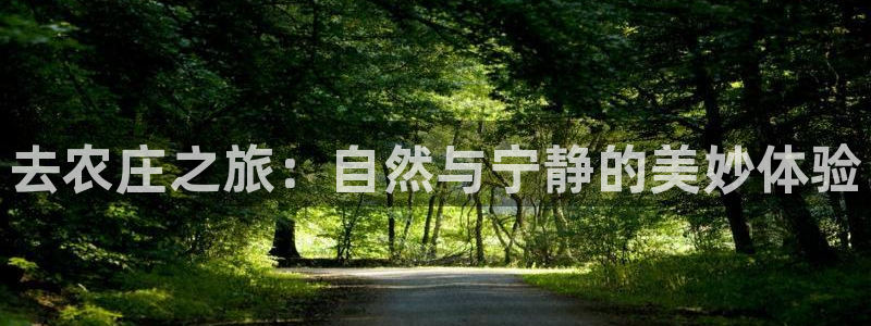 九游会不能