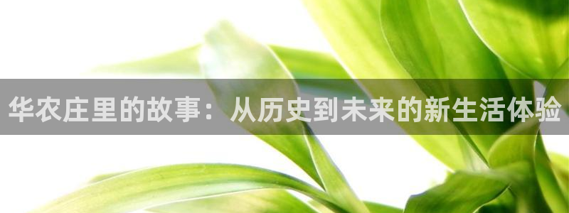 ag九游会官网登