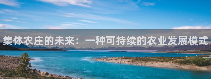 九游会网址多少九