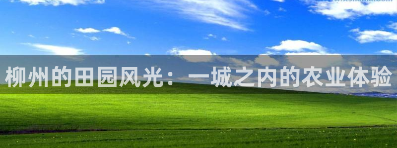 九游会网投
