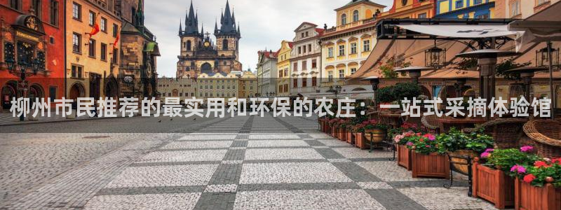 凯时和九游会