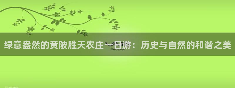 九游会亚游ag