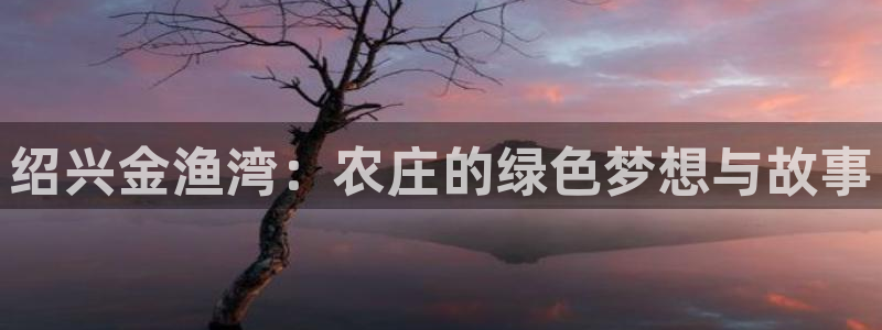 九游会直播登录吗