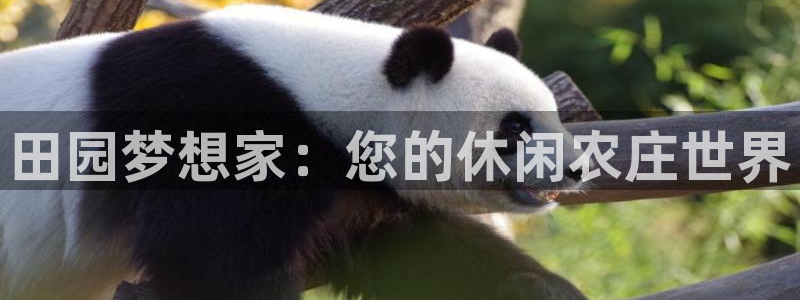九游会路线入口