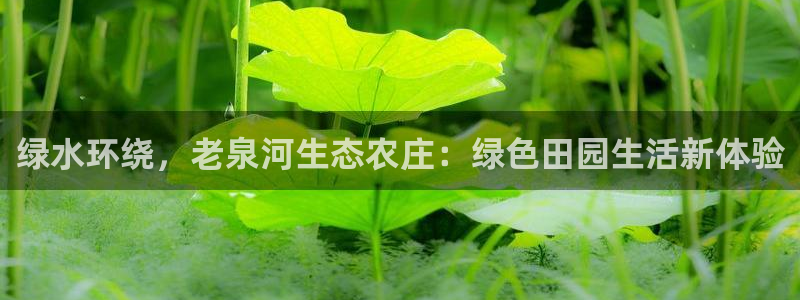 九游会直播
