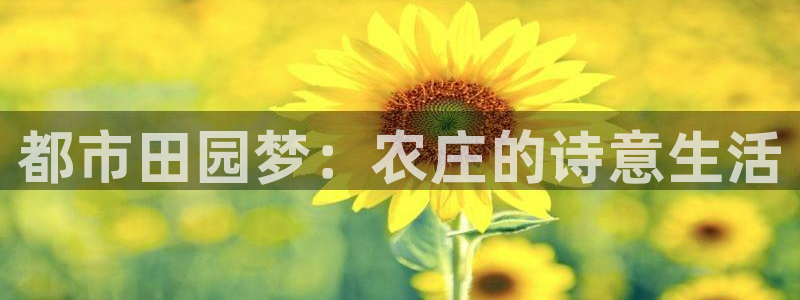 香港九游会