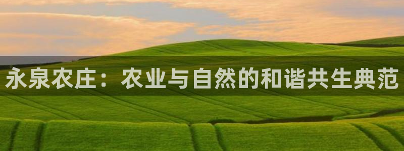 九游会aj亚州