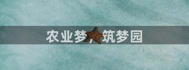 j9九游会体育