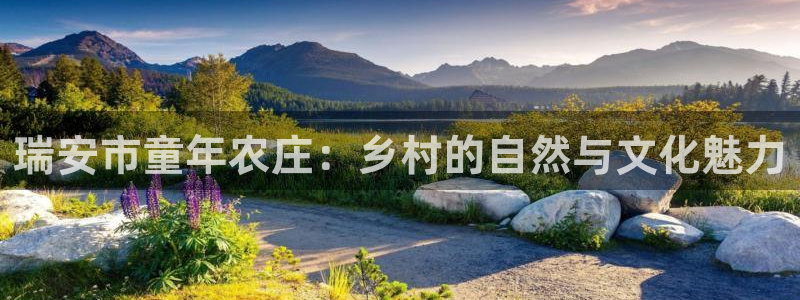 九游会黑网投诉吗