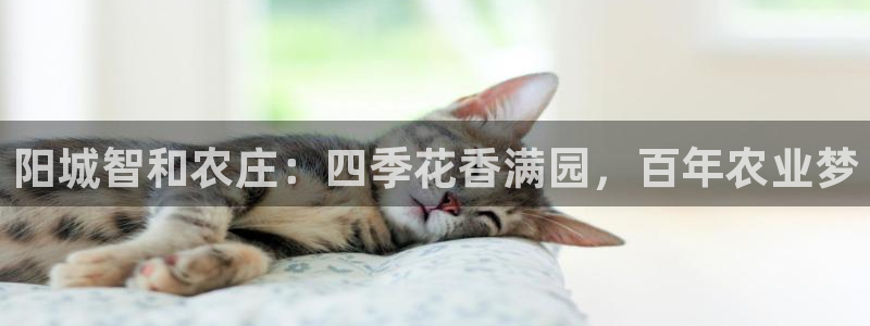 九游会链接