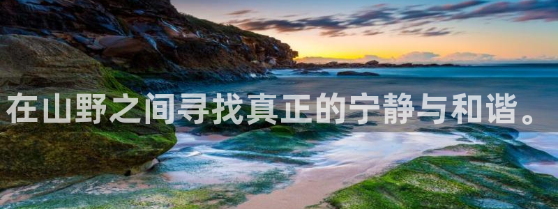 九游会ag网址