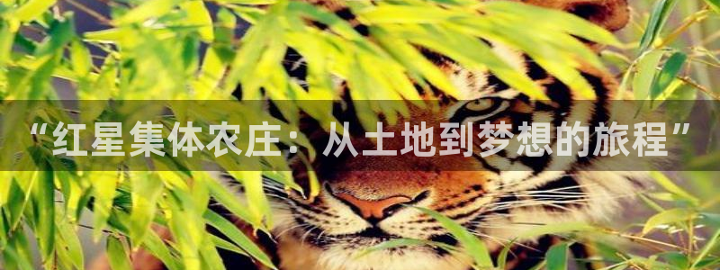 九游会AG集团总部