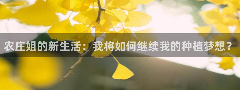 九游会棋牌游