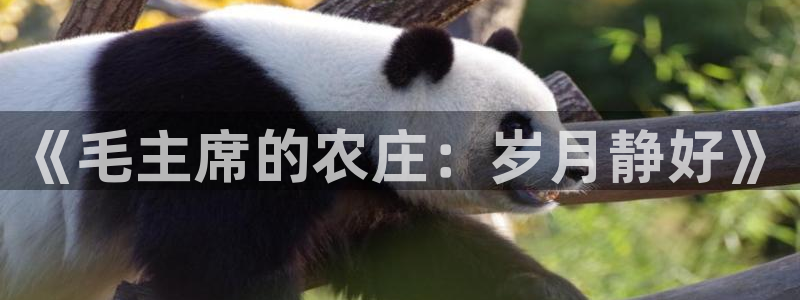 九游会官网直营