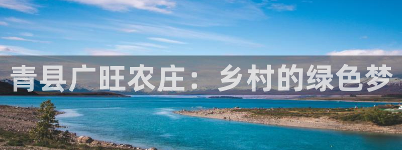 九游会投注