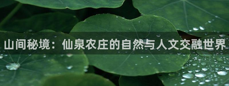九游会游戏官网下载安装