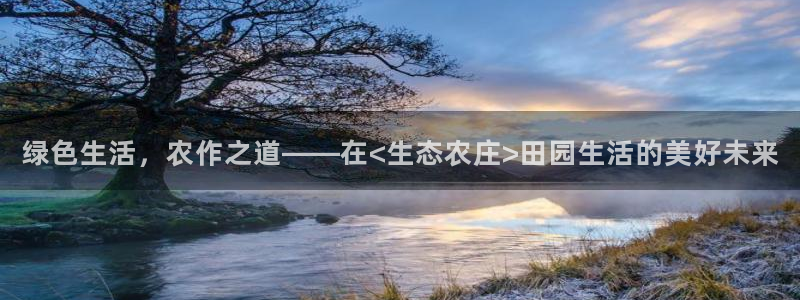 九游会旧版网址