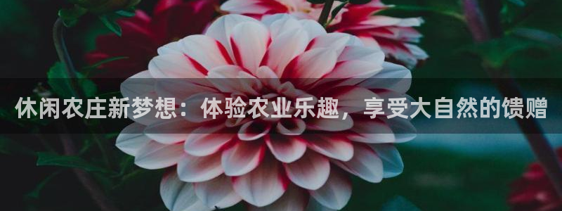 九游会官网手机版本