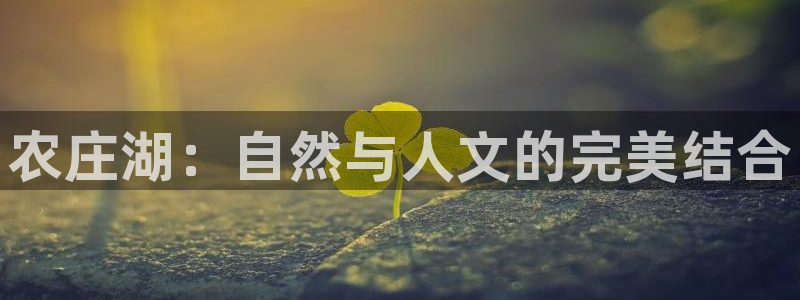 91九游会