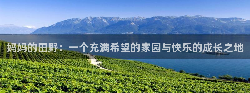 九游会官网登录中心官网