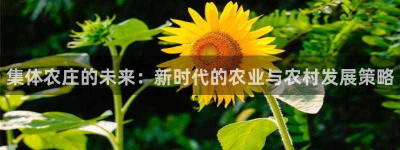 九游会、
