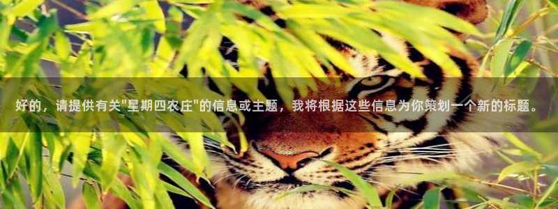 九游会app安全吗