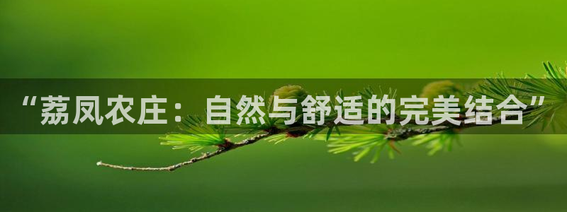 九游会贷款