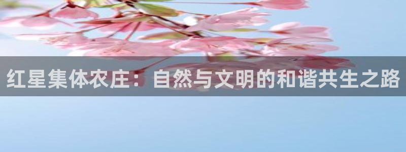 九游会官方大全