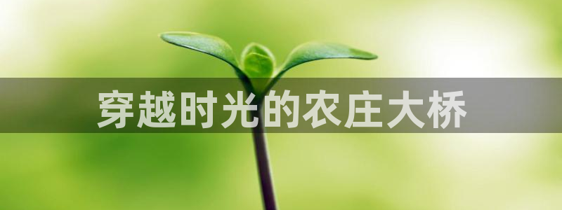 九游会ag首页