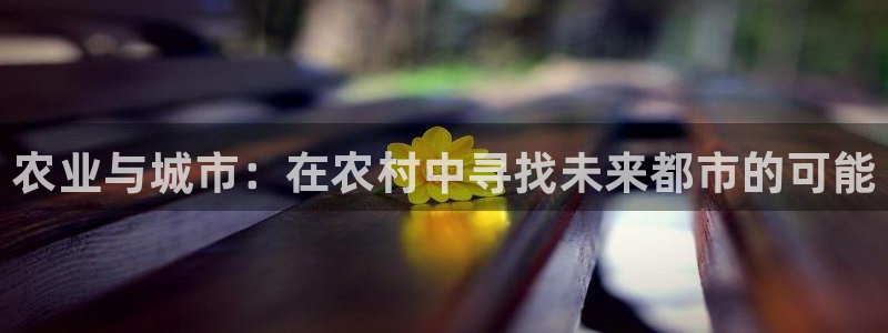 九游ag九游会