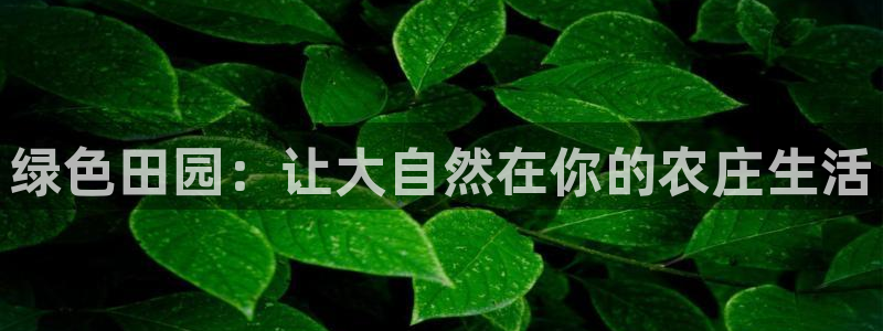 九游会交流群