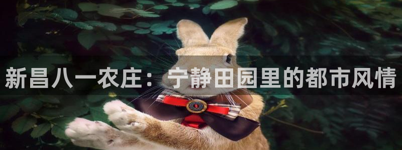 九游会体育比分
