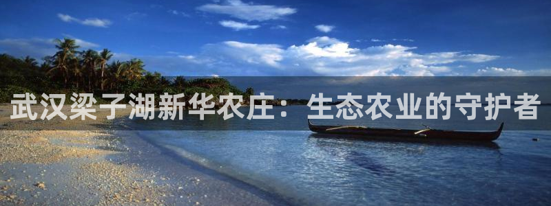 九游会跟币游