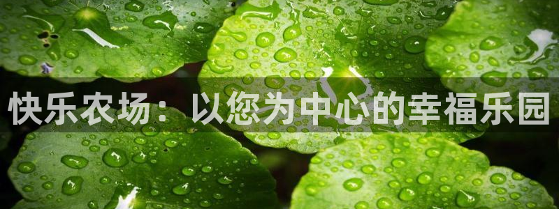 九游会删号