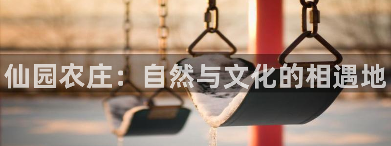 九游会平台网站