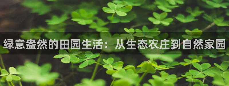 菲律宾九游会