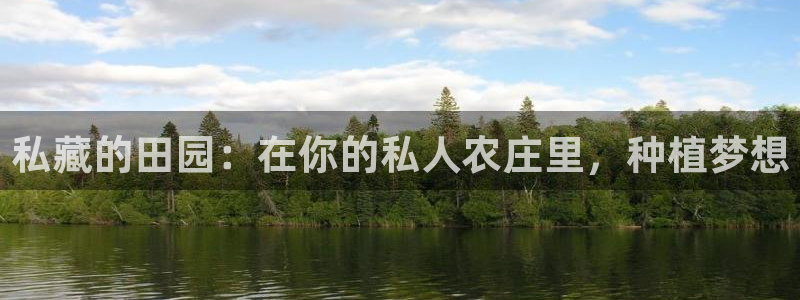 九游会冻卡