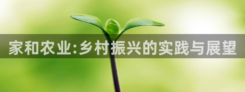 九游会手机登陆嘛