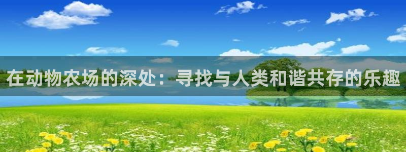 9游九游会